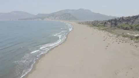 Rising high over the  protected turtle nesting beach Istuzu in Dalyan, Turkey. Stock Footage 232249934