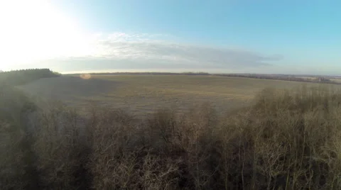 Rising higher over field in clear autumn day Stock Footage 68071945