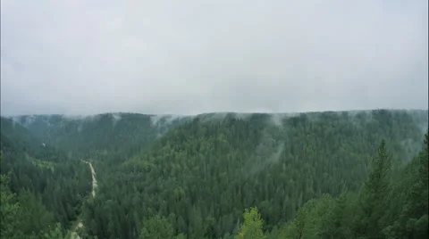 Rising mist in forest mountain area, time lapse Stock Footage 67197245