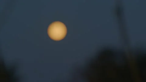 Rising moon 動画素材 171972188