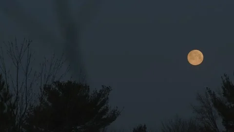 Rising moon Stock Footage 171972225