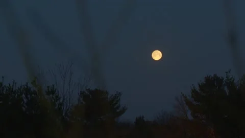 Rising moon Stock Footage 171972226