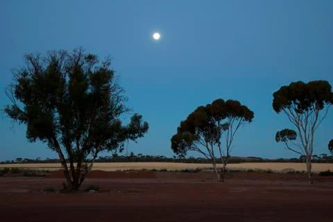 Rising moon over wheat fields Stock Photos