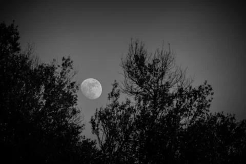 Rising moon Foto stock