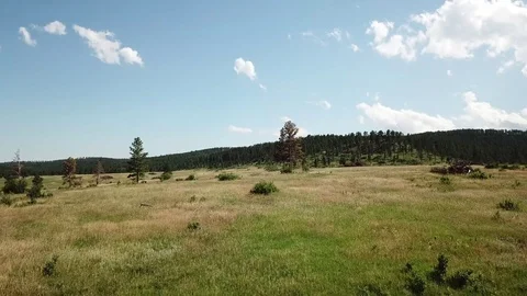 Rising mountain meadow flight over rolling South Dakota hills. Stock-Footage 92053036