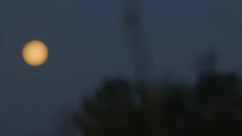 Rising orange moon Stock Footage 171972211