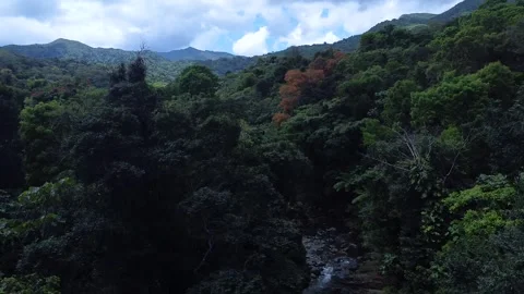 Rising over El Yunque Stock Footage 250253820