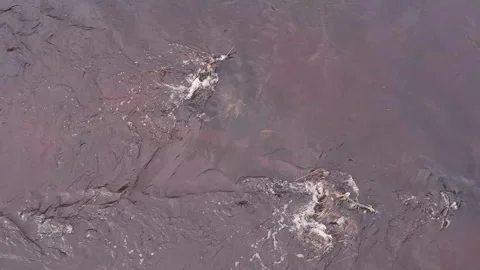 Rising up over fast river Stock Footage 269406157