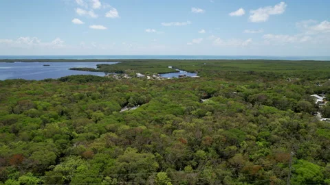 Rising over the Florida Keys Stock Footage 239884857