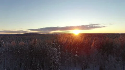 Rising over the forest at sunset Stock Footage 150805463