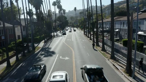 Rising over palm tree lined Hollywood Blvd. Stock Footage 107580906