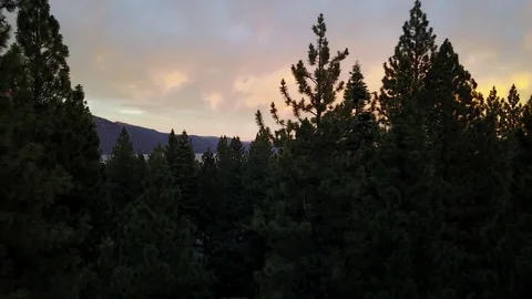 Rising Over The Tree Line During Sunset At Tahoe Stock Footage 81009128