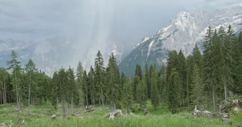 Rising over tree stump revealing dolomite mountains Видео 340786519