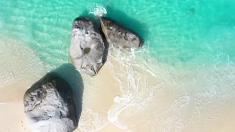 Rising Up in Paradise Video stock 149981978