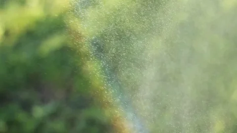 Rising rainbow background Stock Footage 77759509