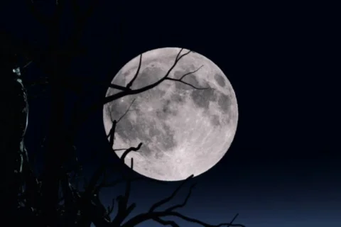 Rising Red Moon Stock Footage 533546