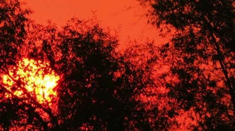 Rising of the red sun.  NTSC  Timelapse Stock Footage 25857049