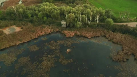 Rising Reverse Drone Flight Over A Marsh Revealing A Boardwalk Video stock 255310808