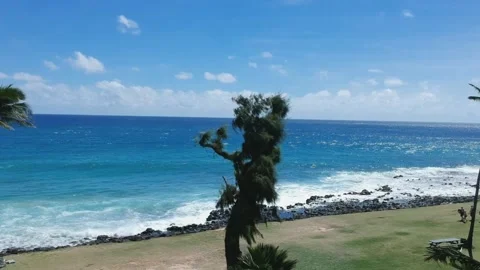 Rising to the right from behind trees on rocky Hawaiian beach with tourists Video stock 155457584