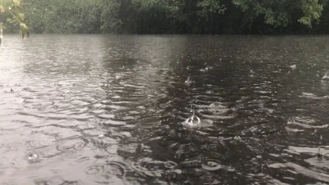 Rising up from river in the rain Stock Footage 109508307