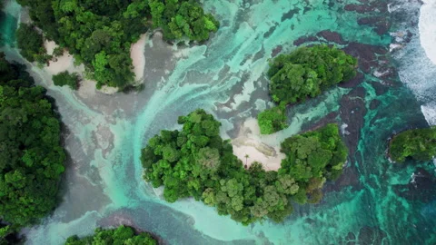 Rising rotating top shot of small island in Escudo Panama with clear blue water Video stock 276240382