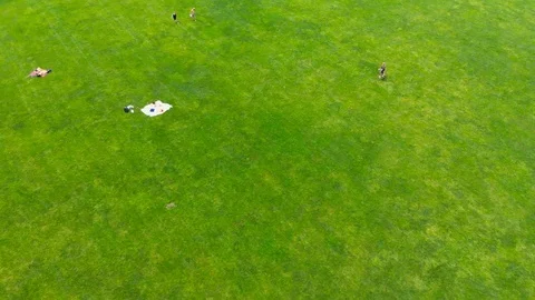 Rising up shot of Central park Stock Footage 93230596