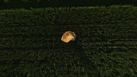 Rising shot looking down on a lady in a flowing yellow dress spinning in a .. 库存影片 255658916