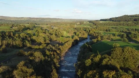 Rising shot over river surrounded by woodland forest Stock Footage 292131281