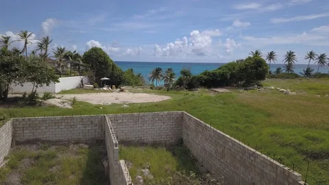 Rising Shot over Trees on Beach Stock Footage 127773162