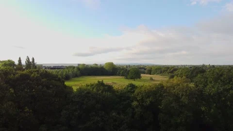 Rising shot over trees with blue sky Stock Footage 224690177