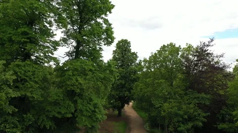 Rising shot of a  pathway in a green forest with tall tress and cityscape in Stock-Footage 155503701