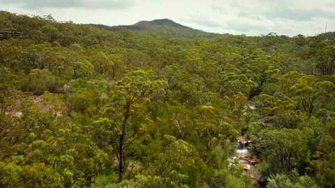 Rising up shot of stream and waterfall in Australian bush Stock Footage 124507667