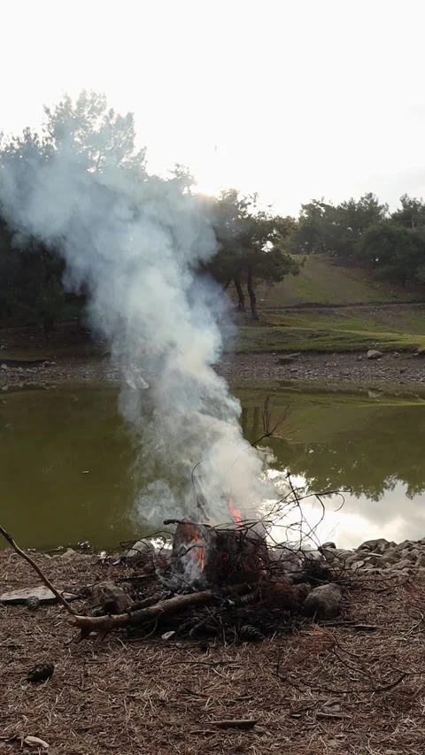 Rising smoke from campfire in slow motion (Vertical Video) Stock Footage 337974809