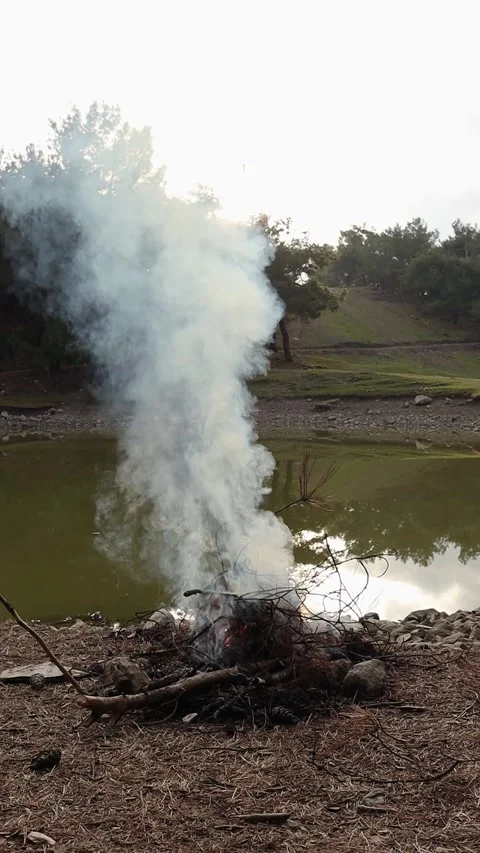 Rising smoke from campfire (Vertical Video) Stock Footage 337974787
