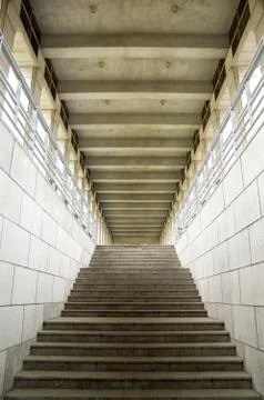 A rising staircase. Stock Photos