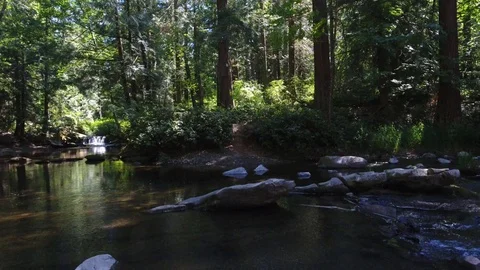 Rising stream Stock Footage 96547017