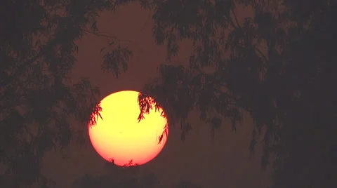 Rising sun 2 Stock-Footage 33472264