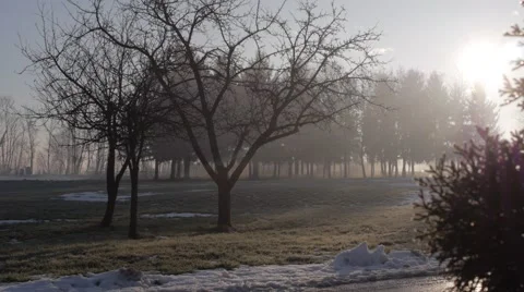 Rising sun Stockbeeldmateriaal 50194768