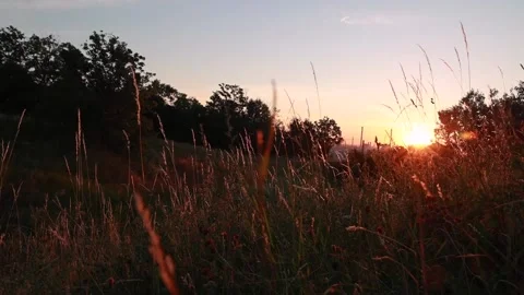 Rising Sun Shining on a Grass Field Stock-Footage 200299918