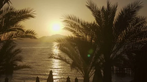 Rising Sun through the palms over the sea and desert mountains Stock Footage 75749171