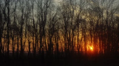 The rising sun from the window of a moving train or car Stock Footage 61964453