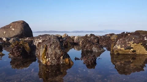 Rising Sunset Tide on Rocks, Ocean and Mountains Beyond, HD Stock Footage 194898154