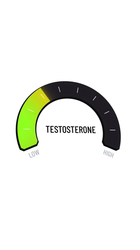 Rising testosterone level shown on digital gauge, moving display from low to  Stock Footage 316827402
