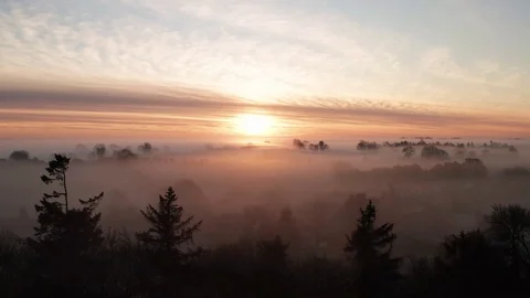 Rising up through morning fog Stock Footage