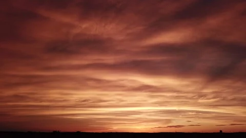 Rising Through Trees to Stunning Amber Sunset Stock Footage 313857461