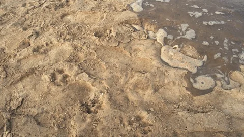 Rising tide Stock Footage 130105179