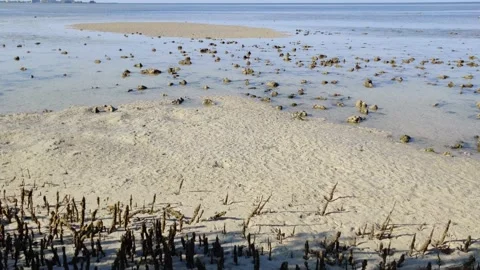 Rising Tide Stock Footage 151323512