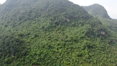 Rising View of Vietnam Mountain Stock Footage 255040842