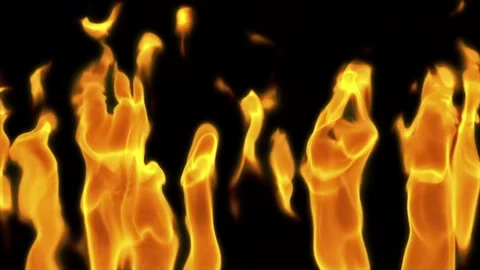 Rising wall of realistic fire flames on black background with intense burning Stock Footage 336165799