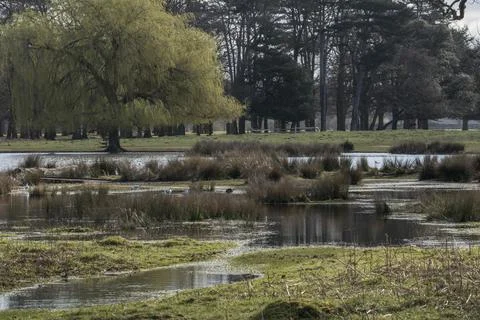 Rising waters Fotos Stock